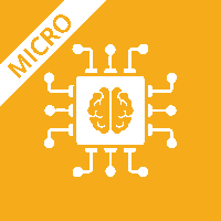 The AI development Process